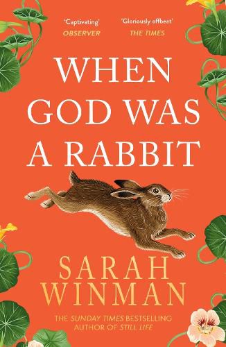 Cover image for When God was a Rabbit: From the bestselling author of STILL LIFE