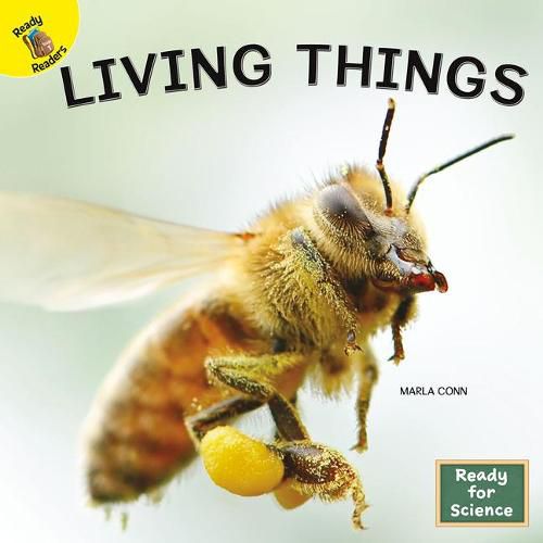 Cover image for Living Things