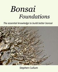 Cover image for Australian Native Bonsai