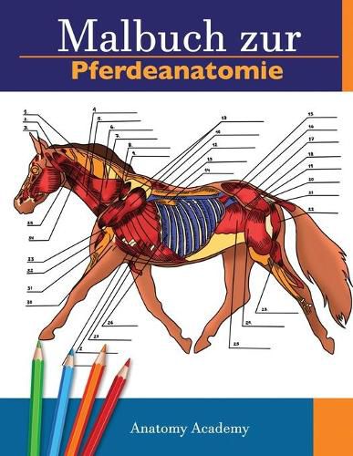 Cover image for Malbuch zur Pferdeanatomie: Unglaublich detailliertes Arbeitsbuch zum Selbsttest der Pferdeanatomie Perfektes Geschenk fur Tiermedizinstudenten, Pferdeliebhaber und Erwachsene