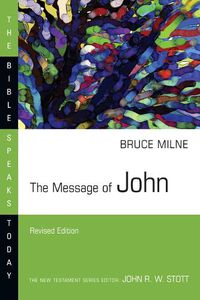 Cover image for The Message of John