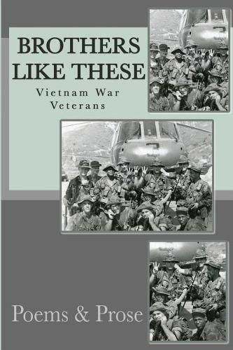 Cover image for Brothers Like These