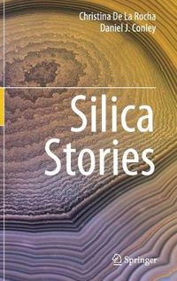 Cover image for Silica Stories