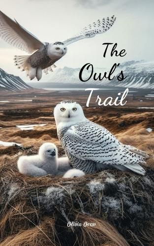 The Owl's Trail