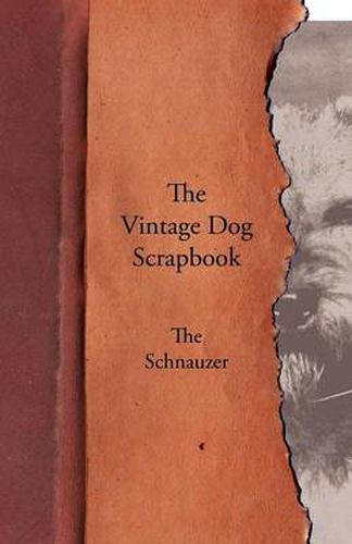 Cover image for The Vintage Dog Scrapbook - The Schnauzer