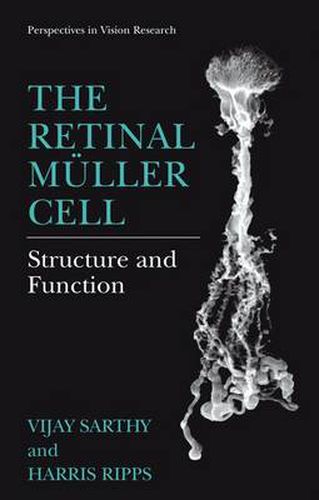 Cover image for The Retinal Muller Cell: Structure and Function