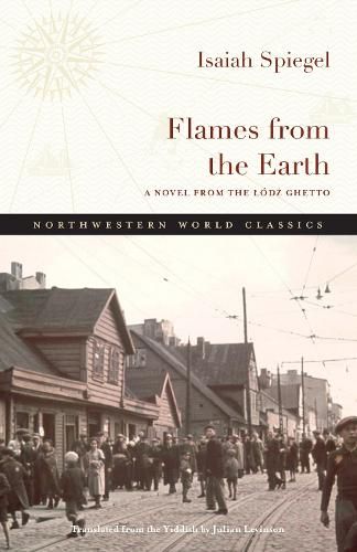 Cover image for Flames from the Earth: A Novel from the Lodz Ghetto