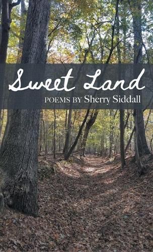 Cover image for Sweet Land