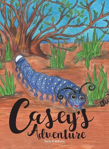 Cover image for Casey's Adventure