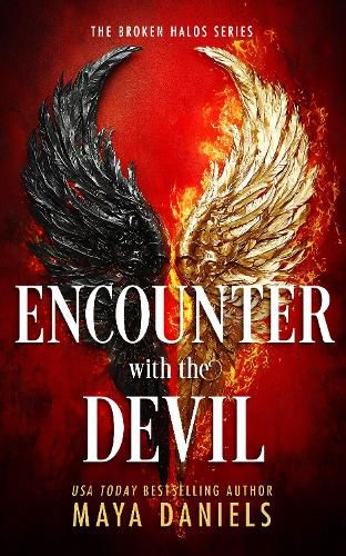 Cover image for Encounter with the Devil