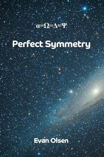 Cover image for Perfect Symmetry