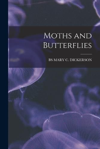 Cover image for Moths and Butterflies