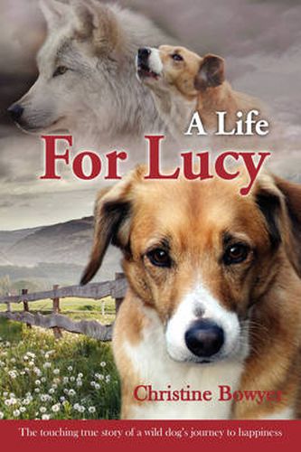 Cover image for A Life For Lucy: The Touching True Story of a Wild Dog's Journey to Happiness.