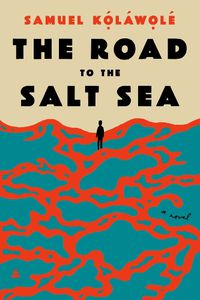 Cover image for The Road to the Salt Sea