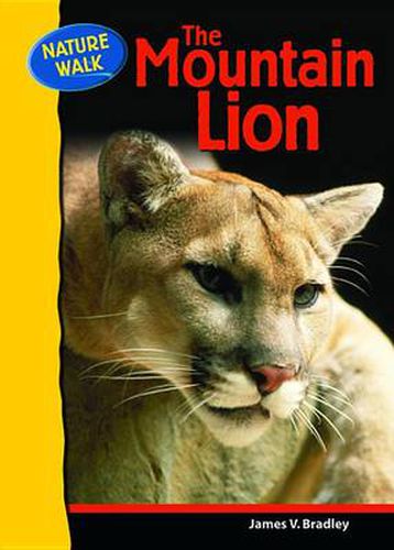 Cover image for The Mountain Lion