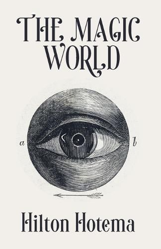 Cover image for The Magic World