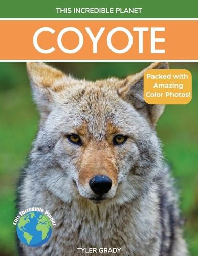 Cover image for Coyote