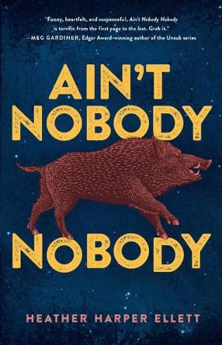 Cover image for Ain't Nobody, Nobody