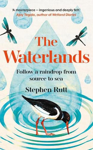 Cover image for The Waterlands