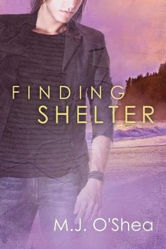 Cover image for Finding Shelter