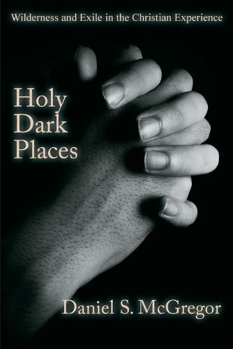 Cover image for Holy Dark Places: Wilderness and Exile in the Christian Experience