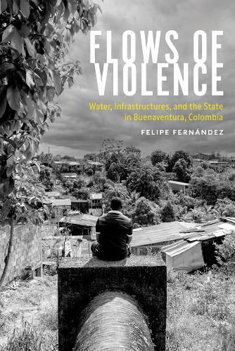 Cover image for Flows of Violence