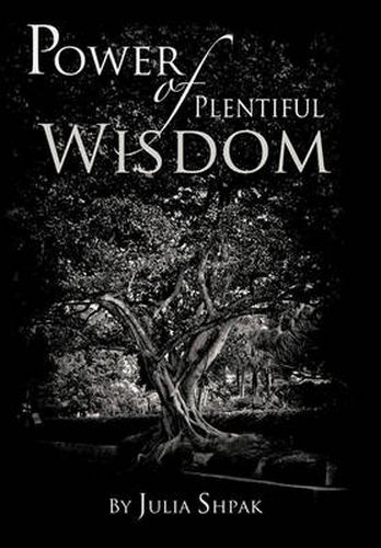 Cover image for Power of Plentiful Wisdom