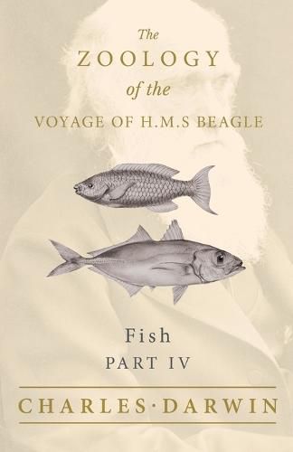 Fish - Part IV - The Zoology of the Voyage of H.M.S Beagle