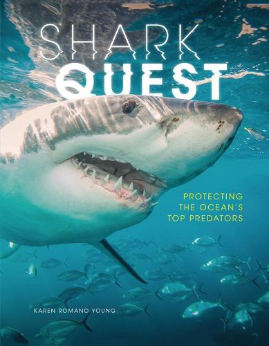 Shark Quest: Protecting the Ocean's Top Predators