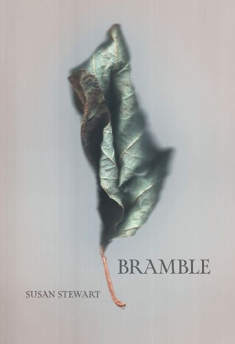 Cover image for Bramble