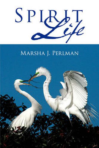 Cover image for Spirit Life