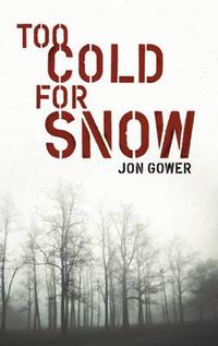 Cover image for Too Cold for Snow