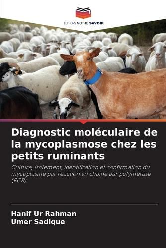Cover image for Diagnostic moleculaire de la mycoplasmose chez les petits ruminants