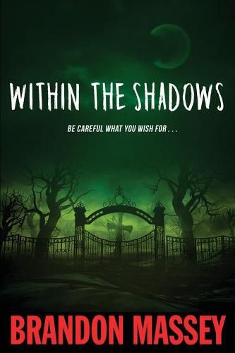 Cover image for Within the Shadows