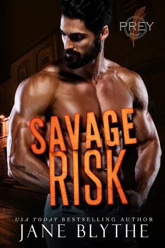 Cover image for Savage Risk