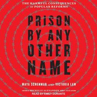 Cover image for Prison by Any Other Name: The Harmful Consequences of Popular Reforms