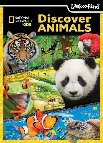 Cover image for National Geographic Kids: Discover Animals Look and Find