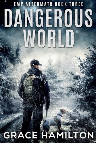 Cover image for Dangerous World