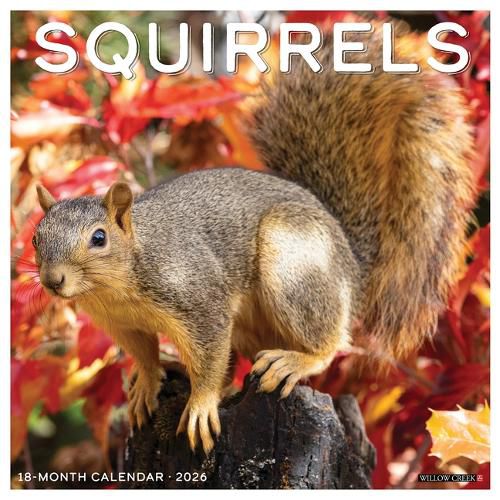 Cover image for Squirrels 2026 12 X 12 Wall Calendar