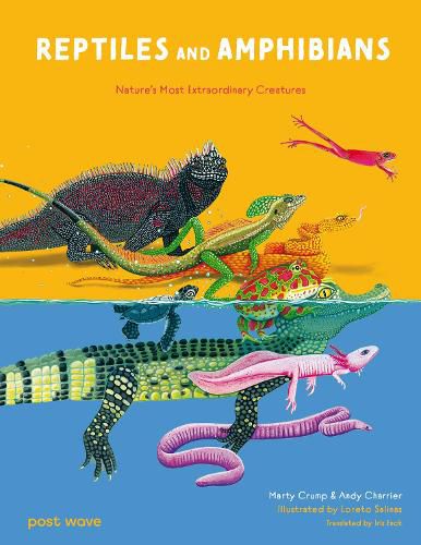 Cover image for Reptiles and Amphibians