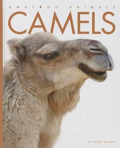 Cover image for Camels