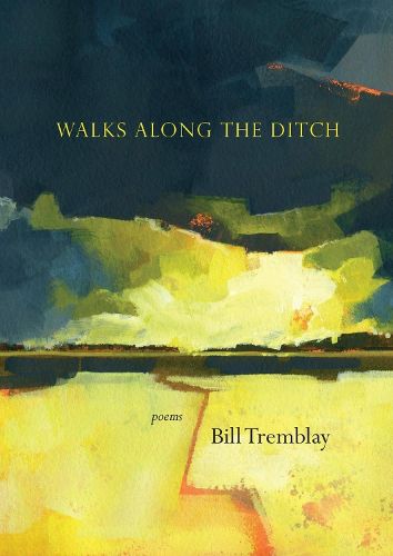 Cover image for Walks Along the Ditch: Poems