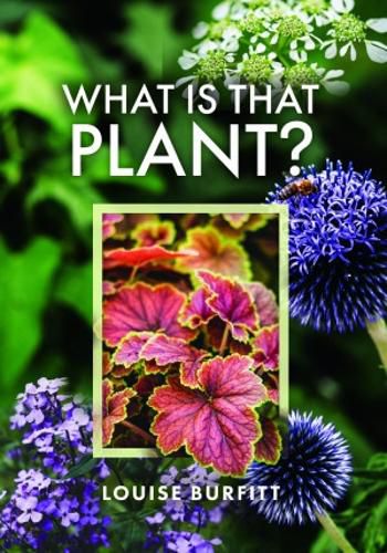 Cover image for What is that Plant?