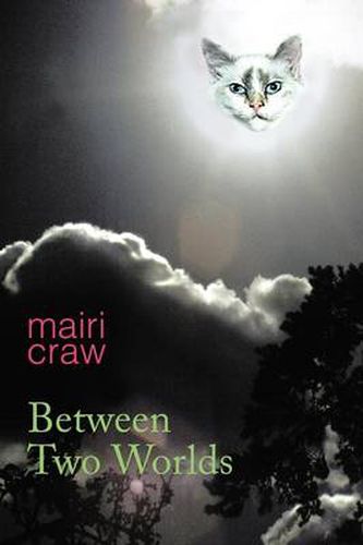 Cover image for Between Two Worlds