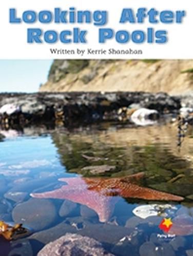 Cover image for Looking After Rock Pools