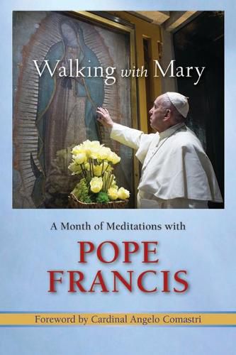 Cover image for Walking with Mary