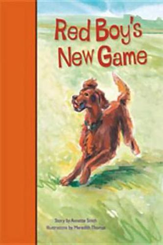 Cover image for Rigby PM Stars Bridge Books: Leveled Reader Bookroom Package Orange Red Boy's New Game