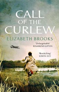 Cover image for Call of the Curlew