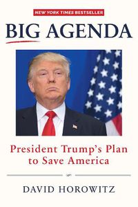 Cover image for BIG AGENDA: President Trump's Plan to Save America