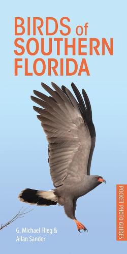 Cover image for Birds of Southern Florida